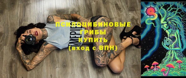 a pvp Беломорск
