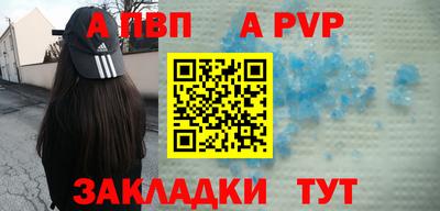 шишки Славгород
