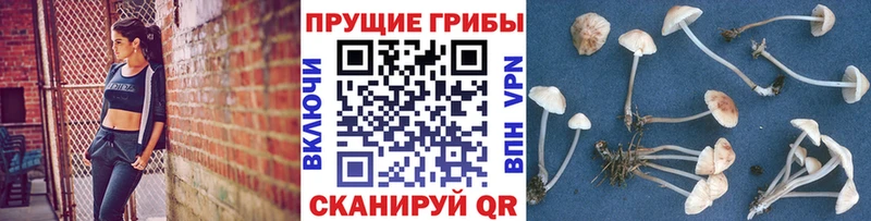 Галлюциногенные грибы Magic Shrooms  наркота  Свободный 